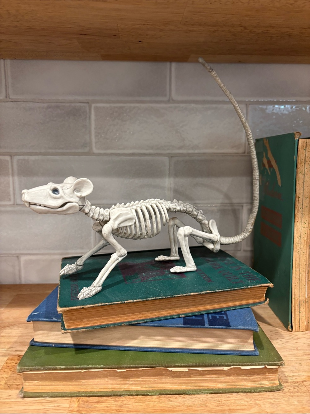 White Skeleton Mouse Rat Halloween Decor